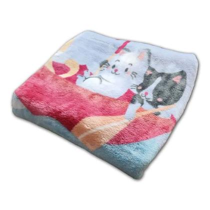 Imagem de Cobertor Infantil Raschel Plus Antialérgico 90x1,10m Jolitex Ternille