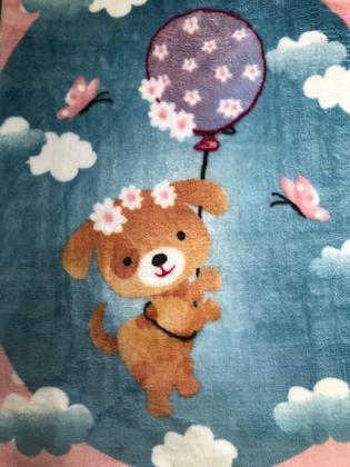 Imagem de Cobertor Infantil Raschel Plus JOLITEX