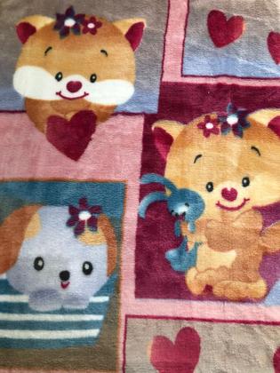 Imagem de Cobertor Infantil Raschel Plus JOLITEX