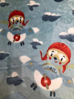 Imagem de Cobertor Infantil Raschel Plus JOLITEX