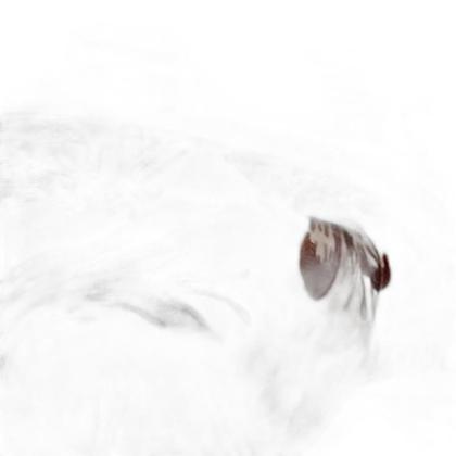 Imagem de Cobertor King Raschel Double Action Segóvia Jolitexternille