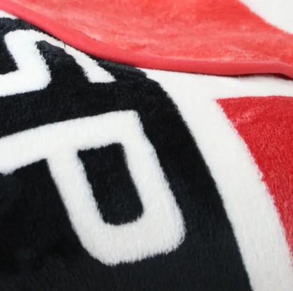 Imagem de Cobertor Solteiro Jolitex Raschel Macio São Paulo 1.50x2.20m