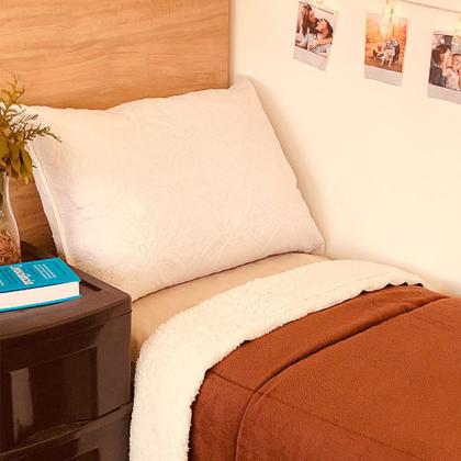 Imagem de Cobredom Cobertor Solteiro Sherpa Dupla Face Pele Carneiro