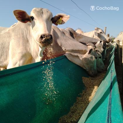 Imagem de Cocho para confinamento - 10 metros - garantia 365 dias