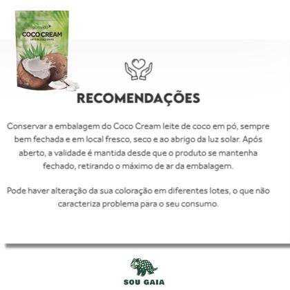 Imagem de Coco Cream Leite Cremoso Em Pó Vegano Sem Açúcar Puravida