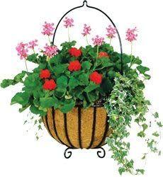 Imagem de Coco Liners Frillybutts para plantadores, círculo de 35,56 cm, 2 peças