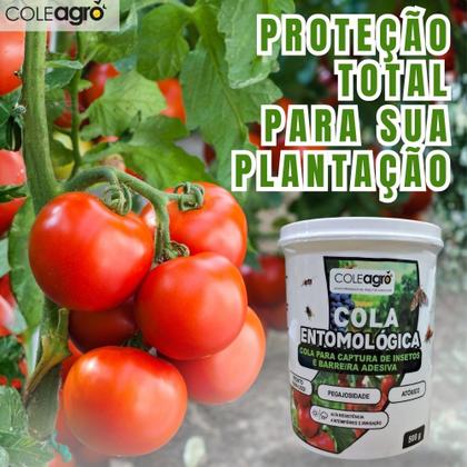 Imagem de Cola Entomológica Captura de Insetos Para Monitoramento de Insetos 500g  Barreira de Formigas