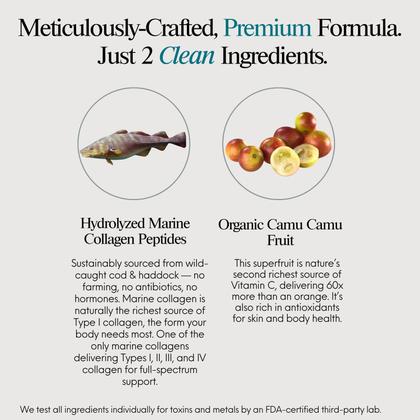 Imagem de Colágeno em pó ENSANTÉ Premium Marine Tipo I II III IV com vitamina C