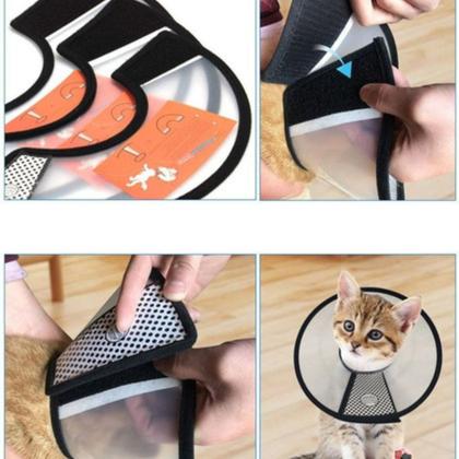 Imagem de Colar Cirúrgico Elizabetano Pet Proteção Cachorro Cão Gato-7