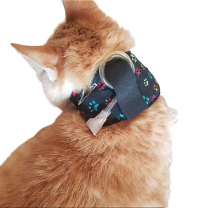 Imagem de Colar Contenção De Sonda Esofágica Para Gatos