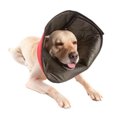 Imagem de Colar Elizabetano de Tecido Pet Med Conforto - Tamanho 7