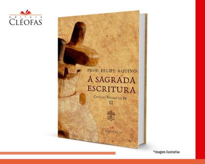 Imagem de Coleção Livros Escola da Fé, Felipe Aquino