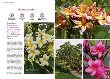 Imagem de Coleção plantas perfumadas (3 volumes)