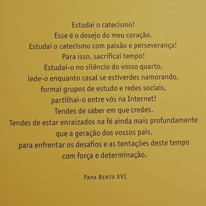 Imagem de Coleção Youcat Livro Catecismo Jovem da Igreja Católica - Editora Paulus