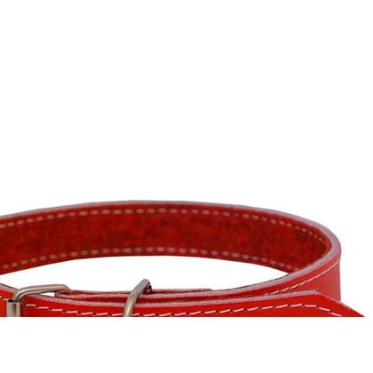 Imagem de Coleira Cao Vermelha Forrada Com Costura 00 P-002 0 - Kit C/6