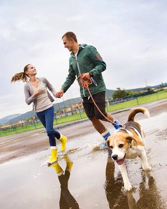 Imagem de Coleira de cachorro Lanwandeng Long Reflective para treinar nylon