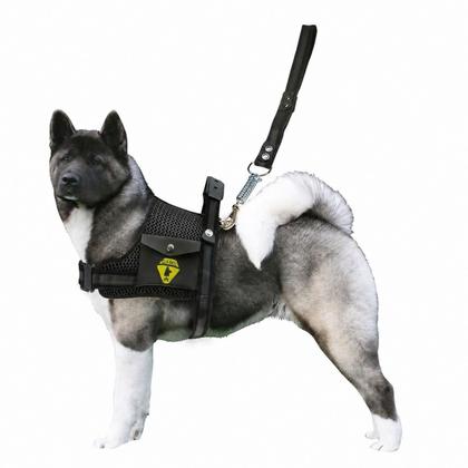 Imagem de Coleira De Cachorros Grandes Porte Peitoral Com Bolso Lateral + Guia Com Mola Amortecedora Para Cães Labrador Rottweiler