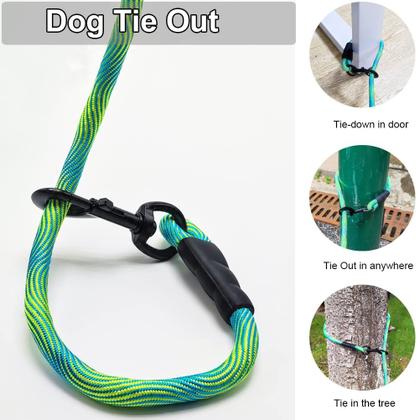 Imagem de Coleira Dog Tie-Out Long Tether Rope BTINESFUL 3,7 m para cães