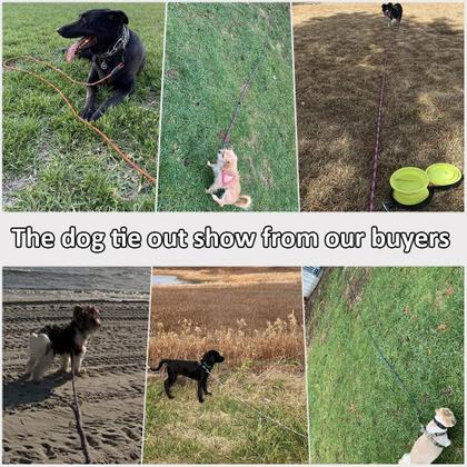 Imagem de Coleira Dog Tie-Out Long Tether Rope BTINESFUL 3,7 m para cães