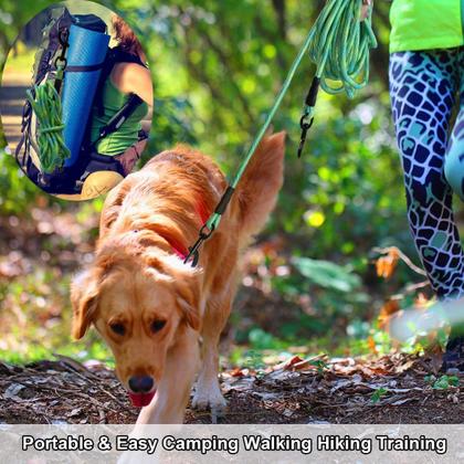 Imagem de Coleira Dog Tie-Out Long Tether Rope BTINESFUL 3,7 m para cães