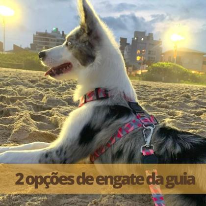 Imagem de Coleira para cachorro com guia resistente modelo H  peitoral