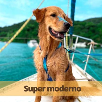 Imagem de Coleira para cachorro com guia resistente modelo H  peitoral