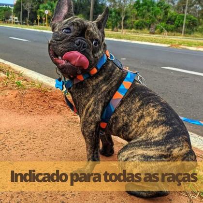 Imagem de Coleira para cachorro com guia resistente modelo H  peitoral