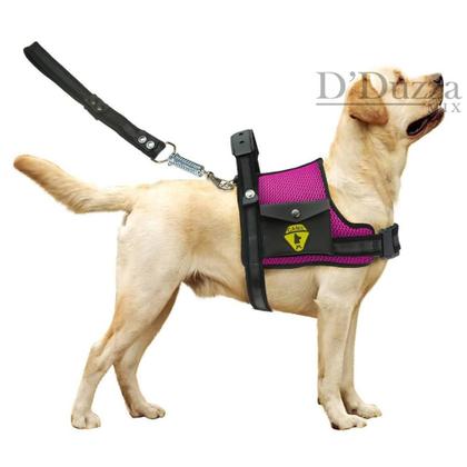Coleira Para Cachorro Grande Com Cinto De Segurança Pet Peitoral Para Cães Com Alça Resistente E Guia De Passeio - D'DUZZA MIX/CANIL Imagem de Coleira Para Cachorro Grande Com Cinto De Segurança Pet Peitoral Para Cães Com Alça Resistente E Guia De Passeio