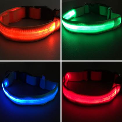 Imagem de Coleira Para Cachorro Pet Com Led Tamanho Pequeno Regulável