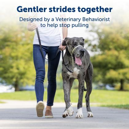 Imagem de Coleira para cães PetSafe Gentle Leader No-Pull Medium Black