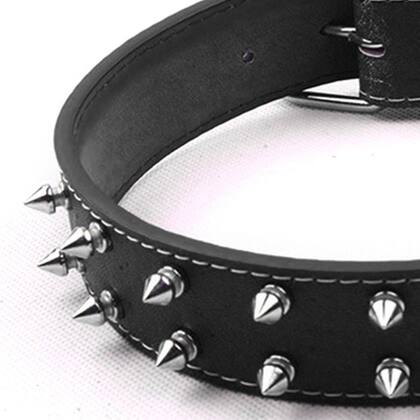 Imagem de Coleira Para Pit Bull Com Spike Grande Porte Rotweiller