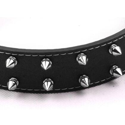Imagem de Coleira Para Pit Bull Com Spike Grande Porte Rotweiller