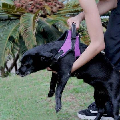 Imagem de Coleira Peitoral Air Pull para cachorro Mimo G Roxo PP328