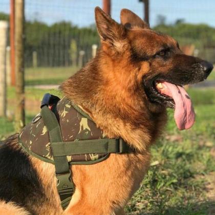Imagem de Coleira Peitoral Colete com Guia para Cachorro - Tamanho G