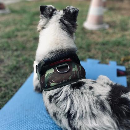 Imagem de Coleira Peitoral Colete para Cachorro  Tamanho M