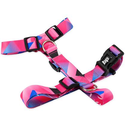 Imagem de Coleira Peitoral Com Guia Para Cachorro Cães Basic Pet