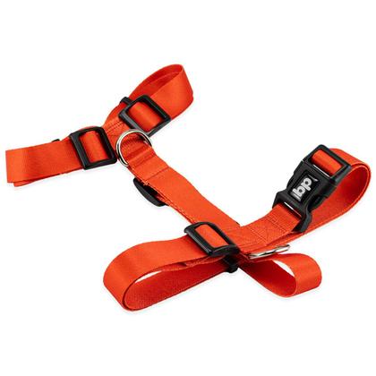 Imagem de Coleira Peitoral Com Guia Para Cachorro Cães Basic Pet