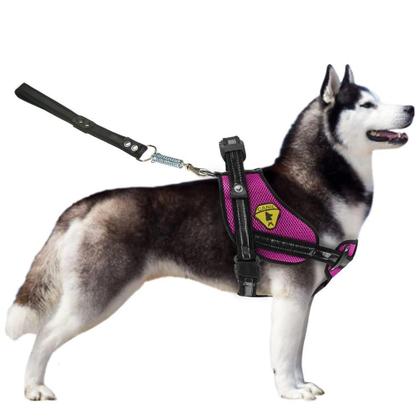 Imagem de Coleira Peitoral Para Cachorro Grande Com Alça Reforçada Guia Ajustável Confortável Para Pet Pitbull Doberman Husky