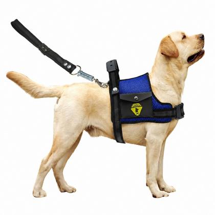 Imagem de Coleira Peitoral Para Cachorro Pet Com Bolso Guia Ajustável Reforçada Confortável Pitbull Golden Doberman