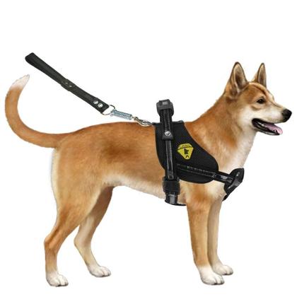 Imagem de Coleira Peitoral Para Cães Cachorros Grandes Com Cinto De Segurança Guia Com Alça Reforçada Pit bull Pastor Alemão