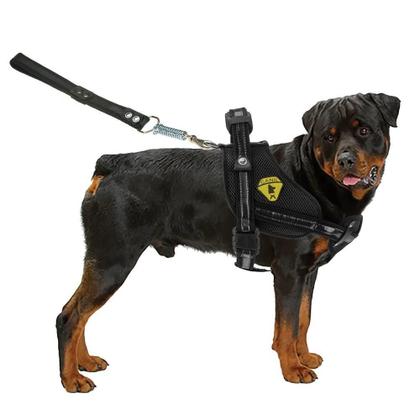 Imagem de Coleira Peitoral Para Cães Cachorros Grandes Com Cinto De Segurança Guia Com Alça Reforçada Pit bull Pastor Alemão