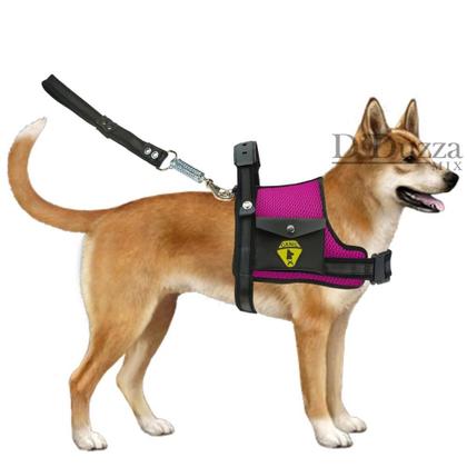 Imagem de Coleira Peitoral Para Cães Com Cinto De Segurança Ajustável Guia Com Alça Reforçada Cachorros Pastor Alemão Pit bull
