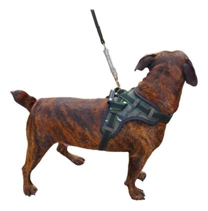 Imagem de Coleira Peitoral Personalizada Pit Bull Pet 