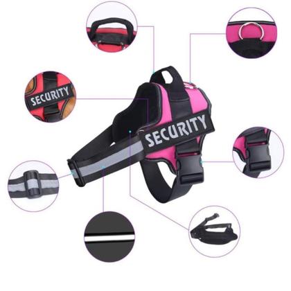 Imagem de Coleira Peitoral Refletiva Reforçada Pet + Guia Cão Cachorro Porte Médio E Grande