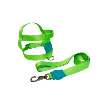 Imagem de Coleira Peitoral Tradicional de Seda Neon 25mm de Cachorro Nicapet Verde nº 5