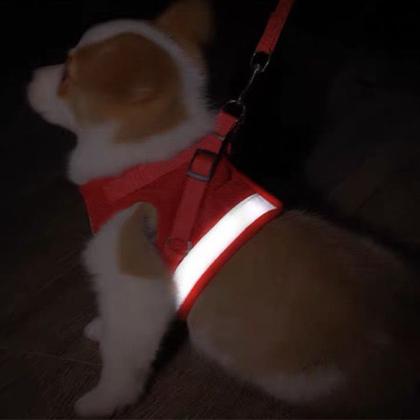 Imagem de Coleira Pet Peitoral Refletível Com Guia para Cães Regulável Super Confortável para Cachorro