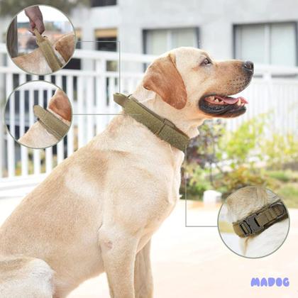 Imagem de Coleira Resistente para Cachorro Grande Forte MADOG Comander