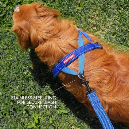 Imagem de Colete de arnês para cães EzyDog Premium Quick Fit ajustável azul XL