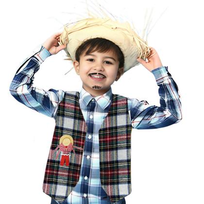 Imagem de  Colete Festa Xadrez Infantil Menino Blusa Junina São João Arraia Dança Quadrilha Estampado Listrado Listra Coletinho Country Cowboy Caipira