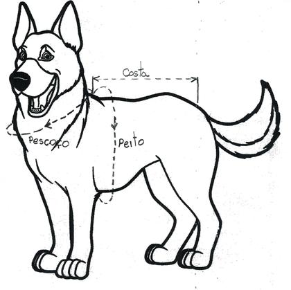 Imagem de Colete Flutuador Salva-Vidas Pet, cor cinza claro